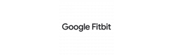 Google FitBit