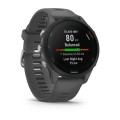 Умные спортивные часы Forerunner 255 Basic GPS Slate Grey (010-02641-10)